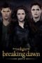 The Twilight Saga: Breaking Dawn – Part 2 (2012) BluRay Hindi English 480p + 720p ESub