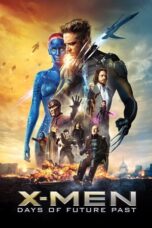 X-Men: Days of Future Past (2014) BluRay Hindi English 480p + 720p ESub