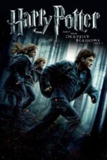 Harry Potter and the Deathly Hallows – Part 1 (2010) 360p + 720p + 1080p + 2160p 4K 10bit BluRay x265 HEVC [Org AMZN Hindi DDP 5.1 ~ 640Kbps+ English AAC 5.1] ESub