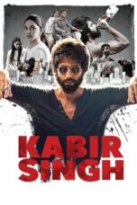 Kabir Singh (2019) Hindi 360p + 720p + 1080p NF WEB-DL x265 10bit HEVC DDP 5.1 MSubs