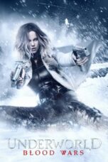 Underworld: Blood Wars (2016) BluRay Hindi English 720p + 480p AAC 5.1 x264 ESub