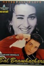 Bal Bramhachari 1996 Hindi Movie download 360p + 720p + 1080p ZEE5 WEB DL x264