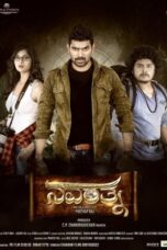 Navarathna (2020) {Hindi-Kannada} 360p + 480p + 720p + 1080p WEB-DL ESub