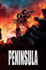 Peninsula (2020) BluRay Dual Audio [Korean DD5.1 + English DD5.1] 480p | 720p | 1080p ESub