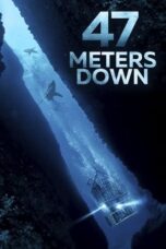 47 Meters Down (2017) 360p + 720p + 1080p 10bit BluRay x265 HEVC [Org Hindi HE-AAC 2.0 ~ 128Kbps + English AAC 5.1] ESub