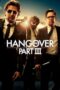 The Hangover Part III (2013) BluRay Dual Audio [Hindi DD5.1 + English DD5.1] 480p | 720p | 1080p ESub