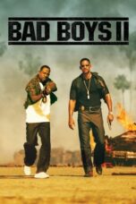 Bad Boys II (2003) BluRay Dual Audio [Hindi DD5.1 + English DD5.1] 480p | 720p | 1080p ESub