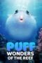 Puff: Wonders of the Reef (2021) BluRay Dual Audio [Hindi DD5.1 + English DD5.1] 480p | 720p | 1080p ESub