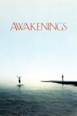 Awakenings (1990) BluRay Dual Audio [Hindi DD5.1 + English DD5.1] 480p | 720p | 1080p ESub