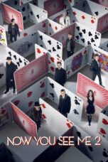 Now You See Me 2 (2016) BluRay Dual Audio [Hindi DD5.1 + English DD5.1] 480p | 720p | 1080p ESub