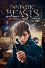 Fantastic Beasts and Where to Find Them (2016) 360p + 720p + 1080p 10bit Bluray x265 HEVC [Org AMZN Hindi DDP 5.1 ~ 640Kbps + AAC 5.1 English] ESub