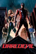 Daredevil (2003) BluRay Dual Audio [Hindi DD5.1 + English DD5.1] 480p | 720p | 1080p ESub