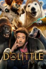 Dolittle (2020) BluRay Dual Audio [Hindi DD5.1 + English DD5.1] 480p | 720p | 1080p ESub