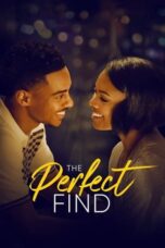 The Perfect Find (2023) 720p + 1080p NF WEB-DL Hindi + English DDP5.1 ESubs