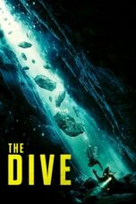 The Dive (2023) 720p WEBRip HINDI DUBBED Watch Online (1XBET)