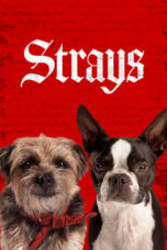 Strays (2023) 720p WEBRip Telugu Dubbed Watch Online (1XBET)