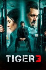 Tiger 3 (2023) 1080p CAMRip Hindi ORG Watch Online (1XBET)