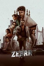 Zebra 2024 720p CAMRip BEN DUB HQ 1XBET